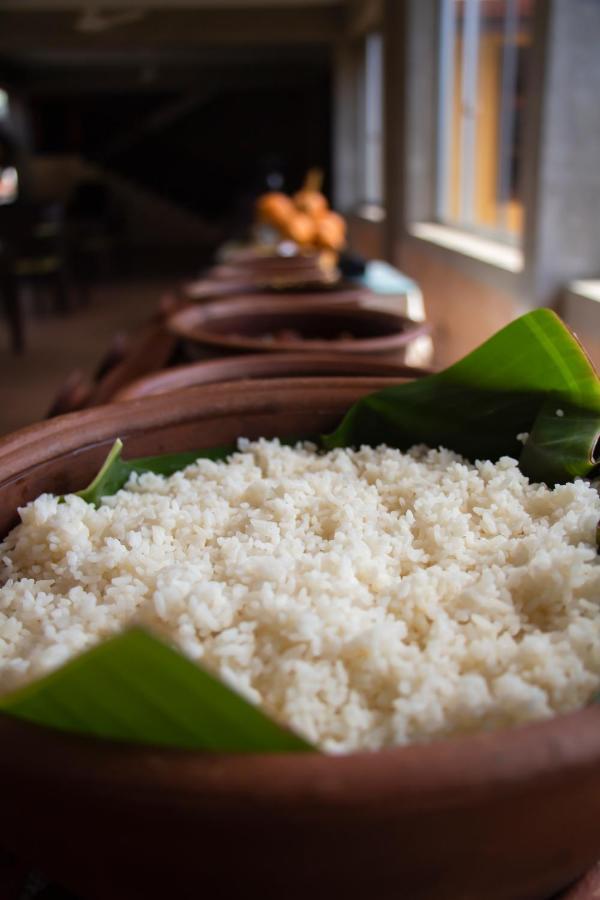 Jasmin Villa Ayurveda Resort Negombo Exterior foto
